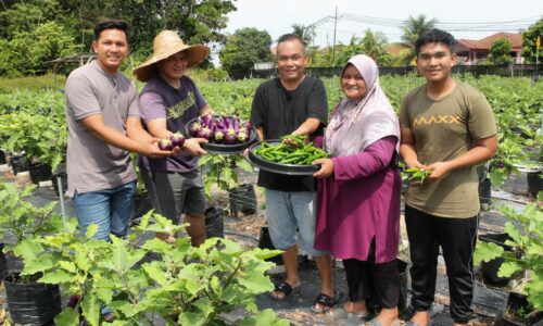 Keluarga petani