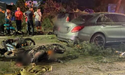 Penunggang motosikal maut, tiga cedera, pokok tumbang di Lebuh Raya Tun Dr Lim Chong Eu