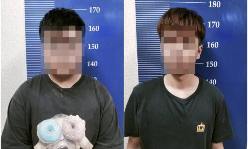 11 ‘scammer’ dicekup