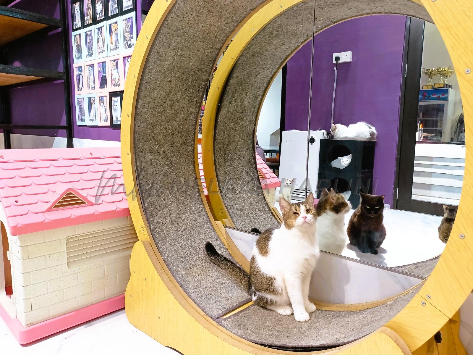 Whatsapp image 2023 06 02 at 4.43.13 pm