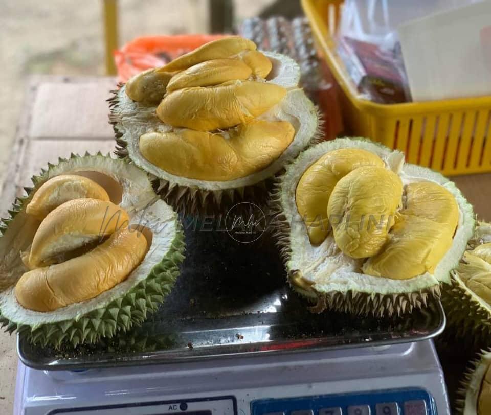 Whatsapp image 2023 06 02 at 6.24.55 pm