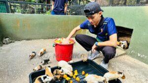 Whatsapp image 2023 06 21 at 12.47.46 pm