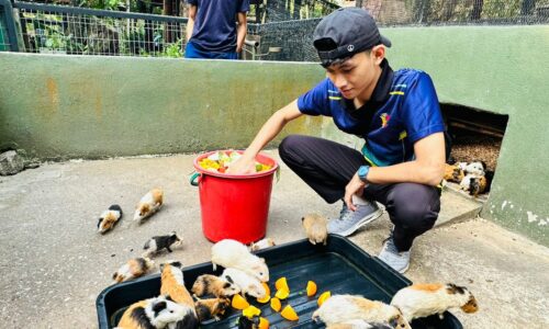 Pelajar jadi penjaga haiwan zoo
