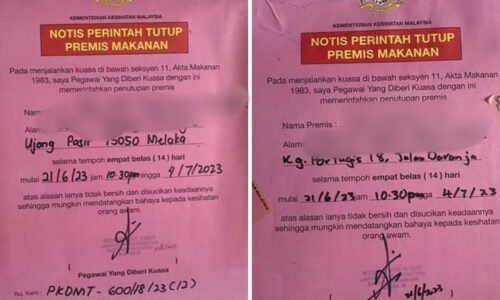Jumpa najis tikus dan lipas, dua lot kedai makan diarah tutup