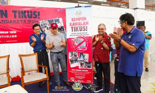 MBI pasang lebih 1,000 perangkap tikus di pasar, medan selera