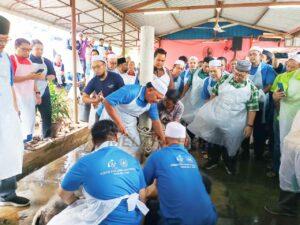 Whatsapp image 2023 06 26 at 1.55.04 pm