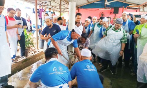 Satu kampung, satu penyembelih haiwan bertauliah – Exco