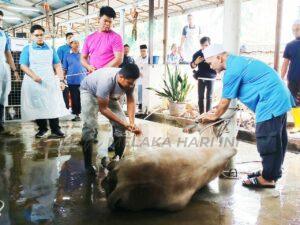 Whatsapp image 2023 06 26 at 1.55.57 pm