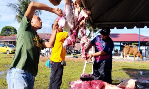 Korban erat ukhuwah masyarakat kampung tengah bandar