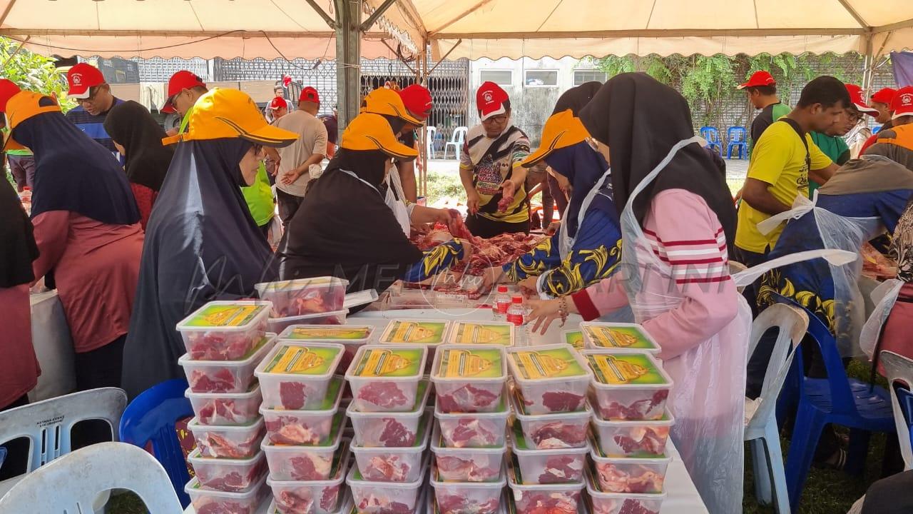 9fa44e8d 49b6 49c8 be99 d2efa8052556