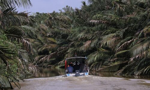 Paya Lebar: ‘The New River Cruise’