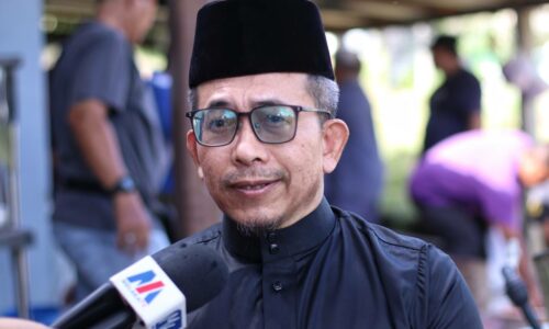 Belajar bidang penternakan di madrasah