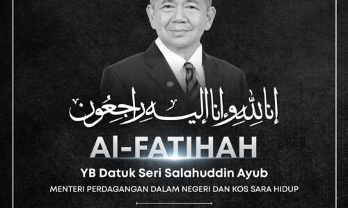 Salahuddin Ayub meninggal dunia