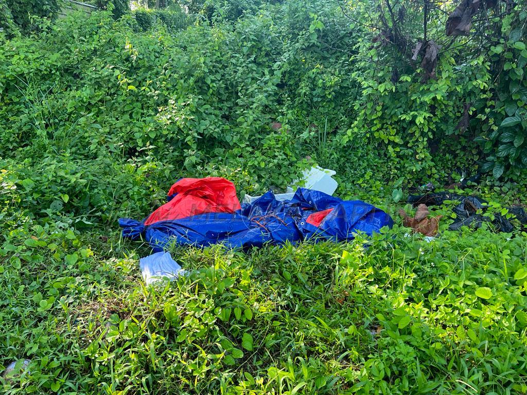 Whatsapp image 2023 07 10 at 15.37.39