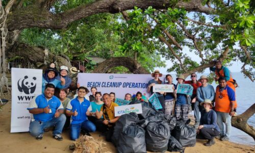 Pelajar UK prihatin nasib penyu karah Melaka