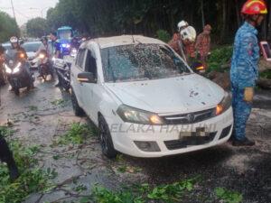 Kereta dihempap