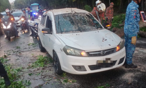 Pemandu, penumpang selamat pokok hempap kereta