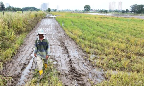 Tiga sektor ekonomi untuk kesejahteraan rakyat – KM