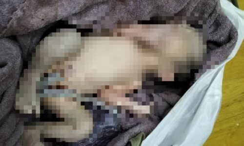Bayi masih hidup ditemui dalam tong sampah