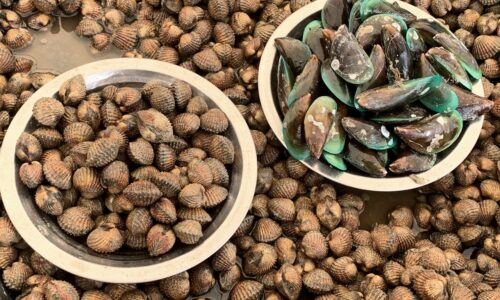 Biotoksin masih lebih had selamat, penternak diminta jangan jual kupang  – DOF
