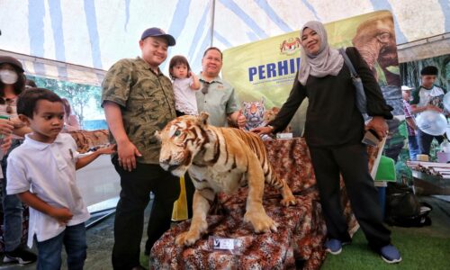Zoo Melaka jalin kerjasama dapatkan kepakaran, pembiakan Harimau Malaya