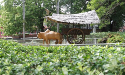 Taman bunga saksi negara merdeka