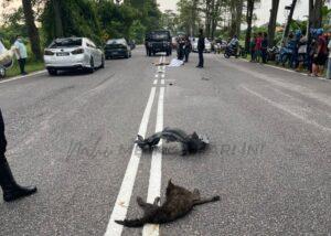 Whatsapp image 2023 08 03 at 12.52.06