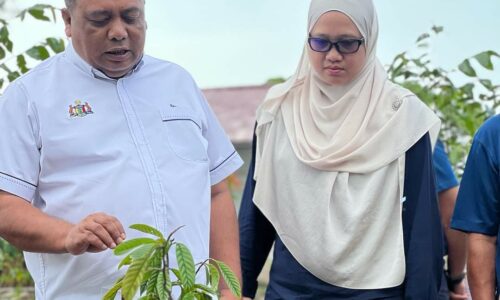 3,300 pokok lindungi Empangan Durian Tunggal