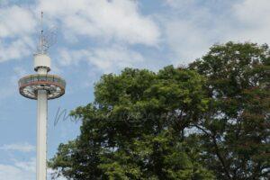 Whatsapp image 2023 08 10 at 4.24.25 pm