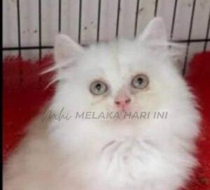 Whatsapp image 2023 08 28 at 11.48.24