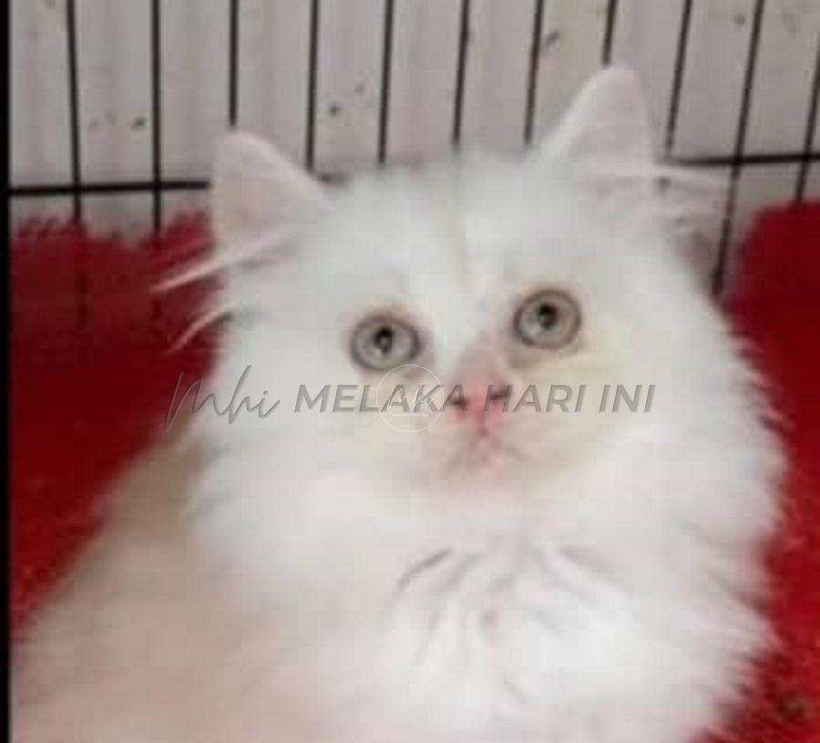 Whatsapp image 2023 08 28 at 11.48.24