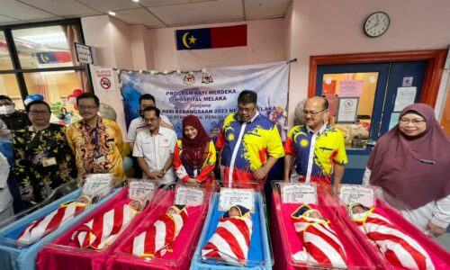 Ketua Menteri rai sembilan bayi merdeka