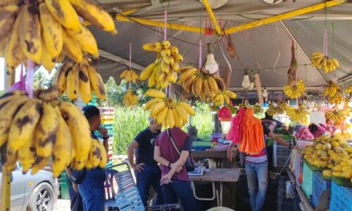 Peniaga buah dikompaun guna penimbang tamat tempoh