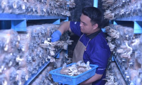 Projek Poly Agro MyCendawan perkasa TVET dan keusahawanan