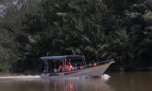 Internet satelit atasi isu liputan di Paya Lebar