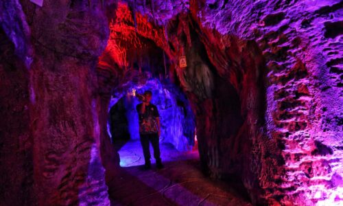 Lawan ketakutan di Gua Reptilia Zoo Melaka