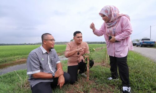 Kejuruteraan ekologi kawal serangga perosak