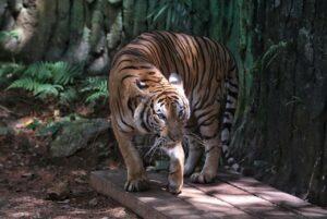 Photo 2023 08 05 16 06 19