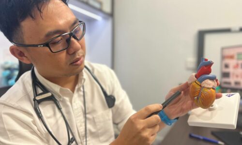 Kurang amal gaya hidup sihat, berisiko diserang penyakit jantung