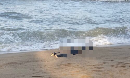 Mayat wanita terdampar di Pantai Puteri
