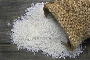 Rice adobestock 64819529 e