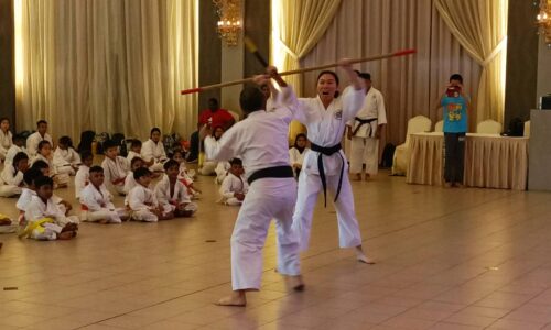 TMM2024: Melaka gelanggang kejohanan seni mempertahankan diri