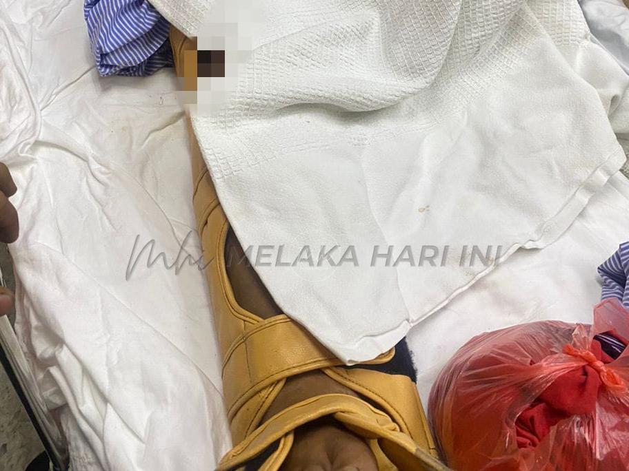 Whatsapp image 2023 09 06 at 15.05.29 fotor 20230906151043