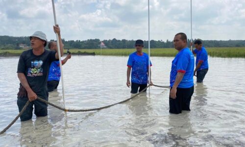 Fiesta Bendang promosi sukan kampung