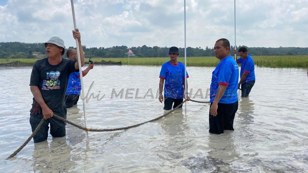 Whatsapp image 2023 09 08 at 12.57.15 pm