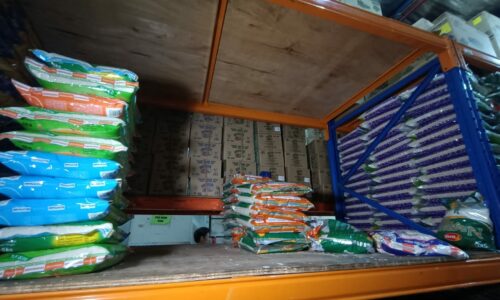 Isu beras perlu ditangani segera – Ahli Parlimen