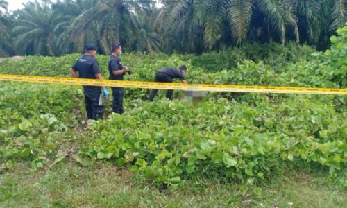 Mayat berulat, hampir reput ditemui di Pulau Sebang