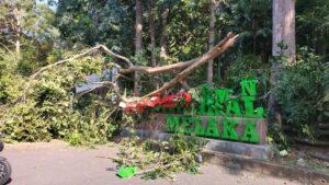 Whatsapp image 2023 09 20 at 12.31.53 pm