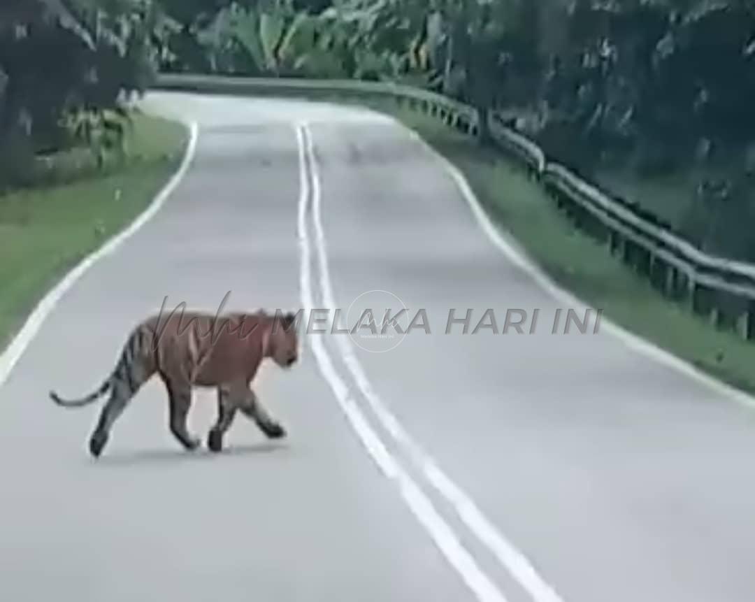 Whatsapp image 2023 09 27 at 11.14.48 am