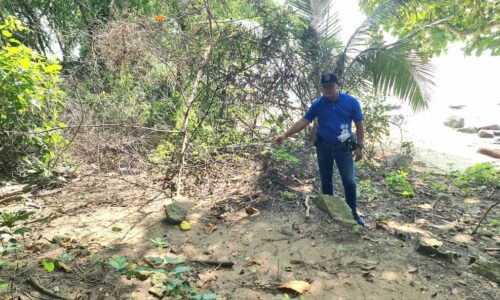 Hal kubur pun buat main